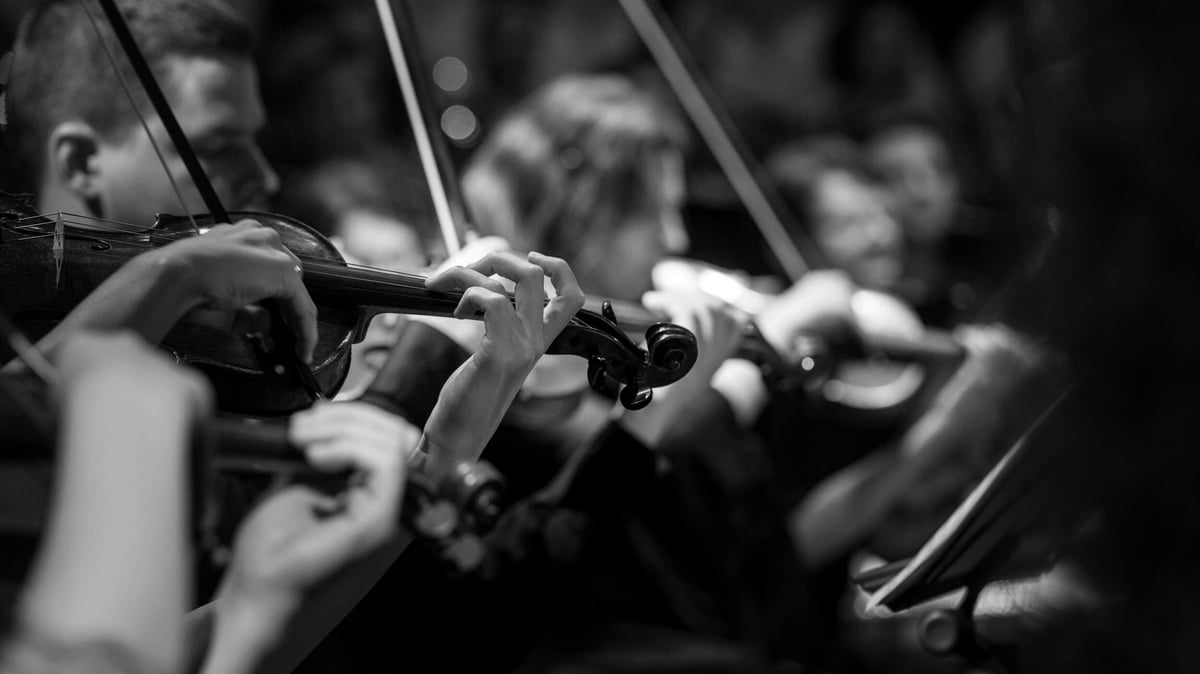 A row of musicians playing violins